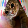 micaeles avatar